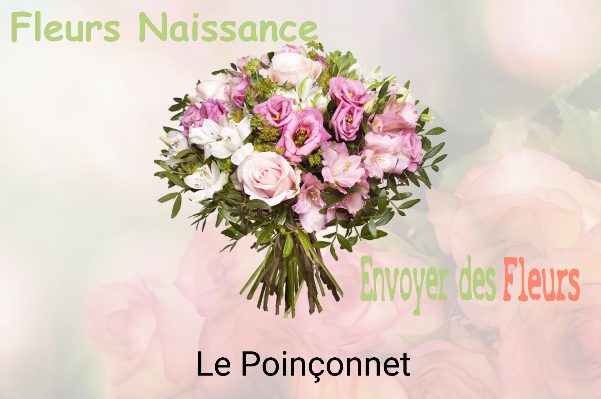 Bouquet de fleurs de naissance livré à Le Poinçonnet